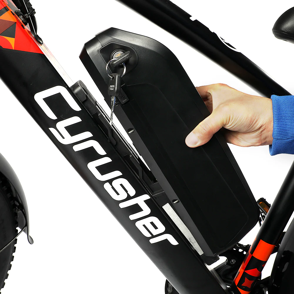 [pre-sale-45days]48V 16ah Ebike Battery for Rider/XF650 - Image 7
