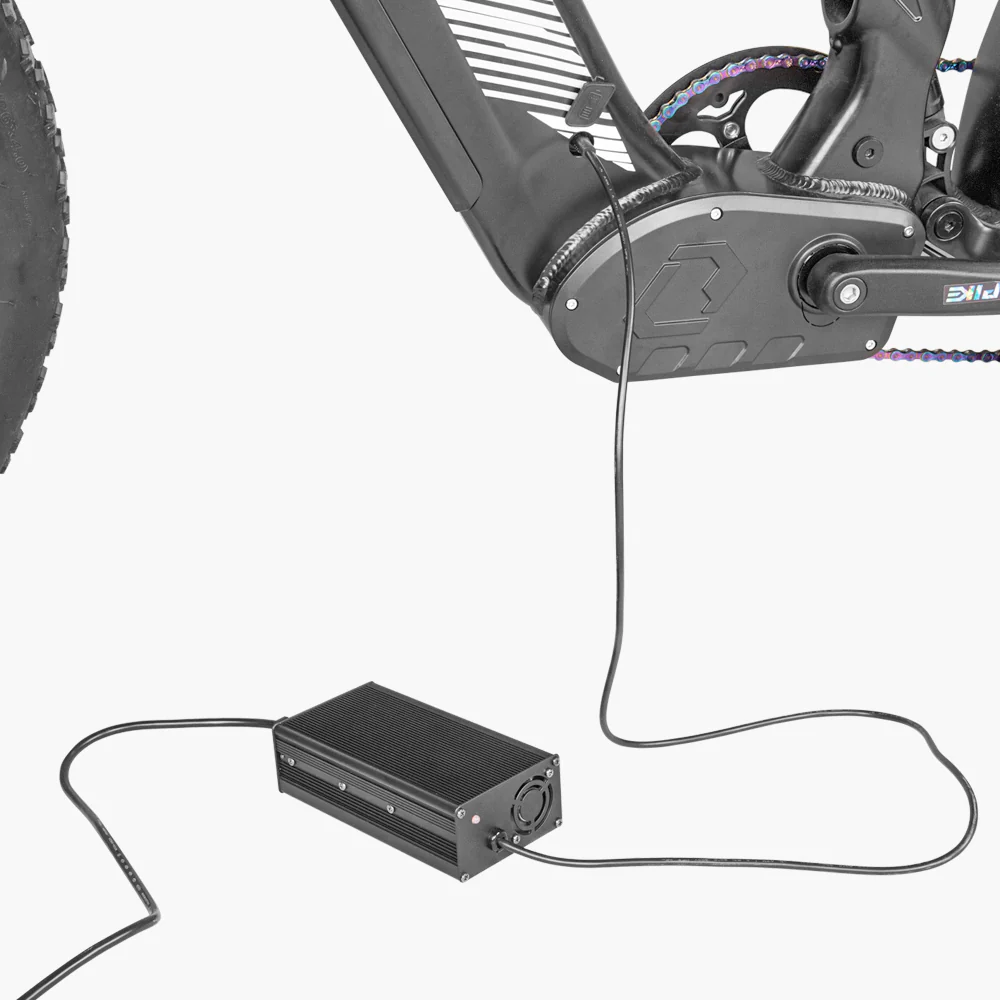 52V 5A fast charger for Ranger/Trax/Ovia/Roam/Rover - Image 5