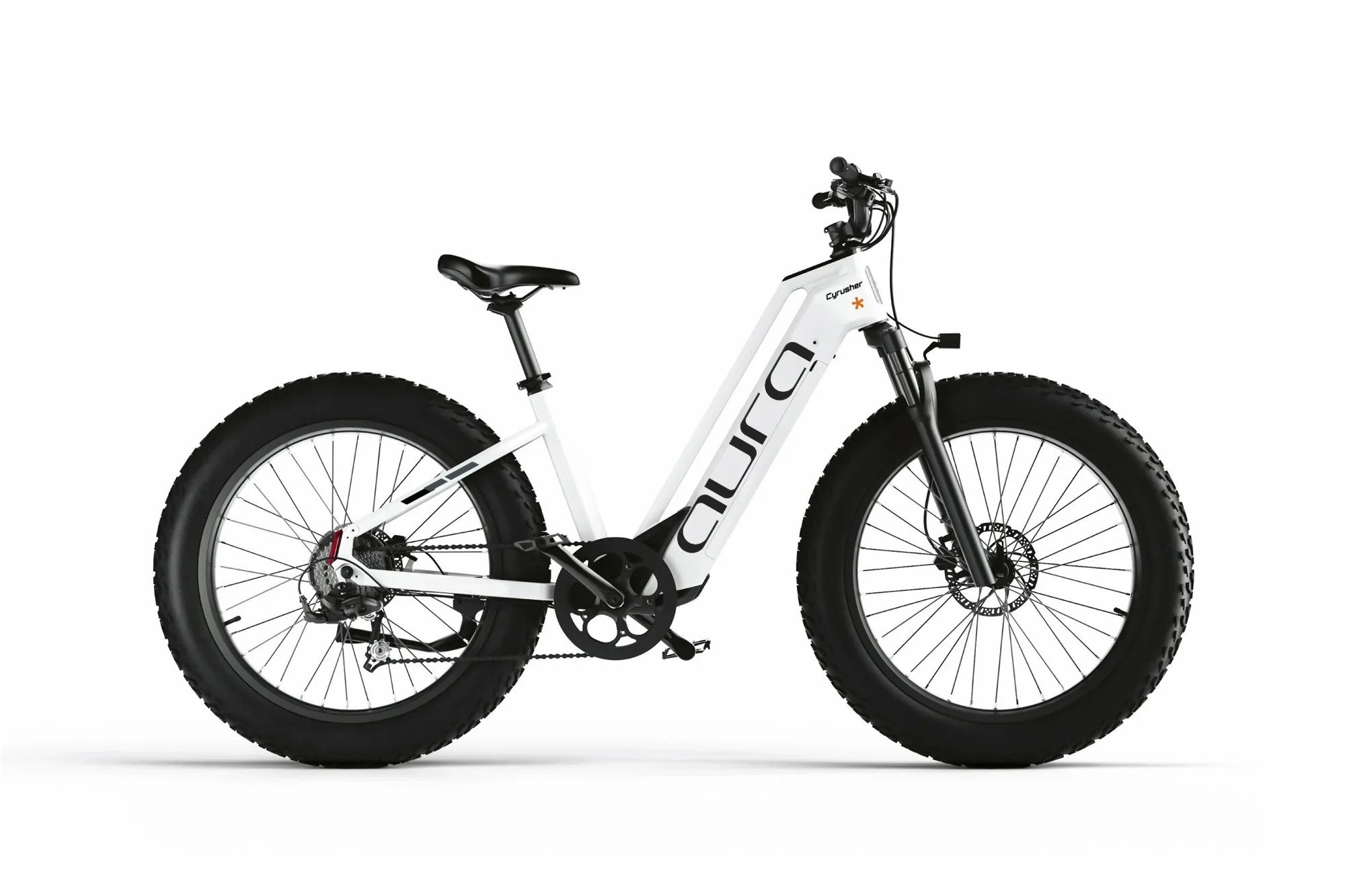 Aura Fat Tire E-Bike - Image 11
