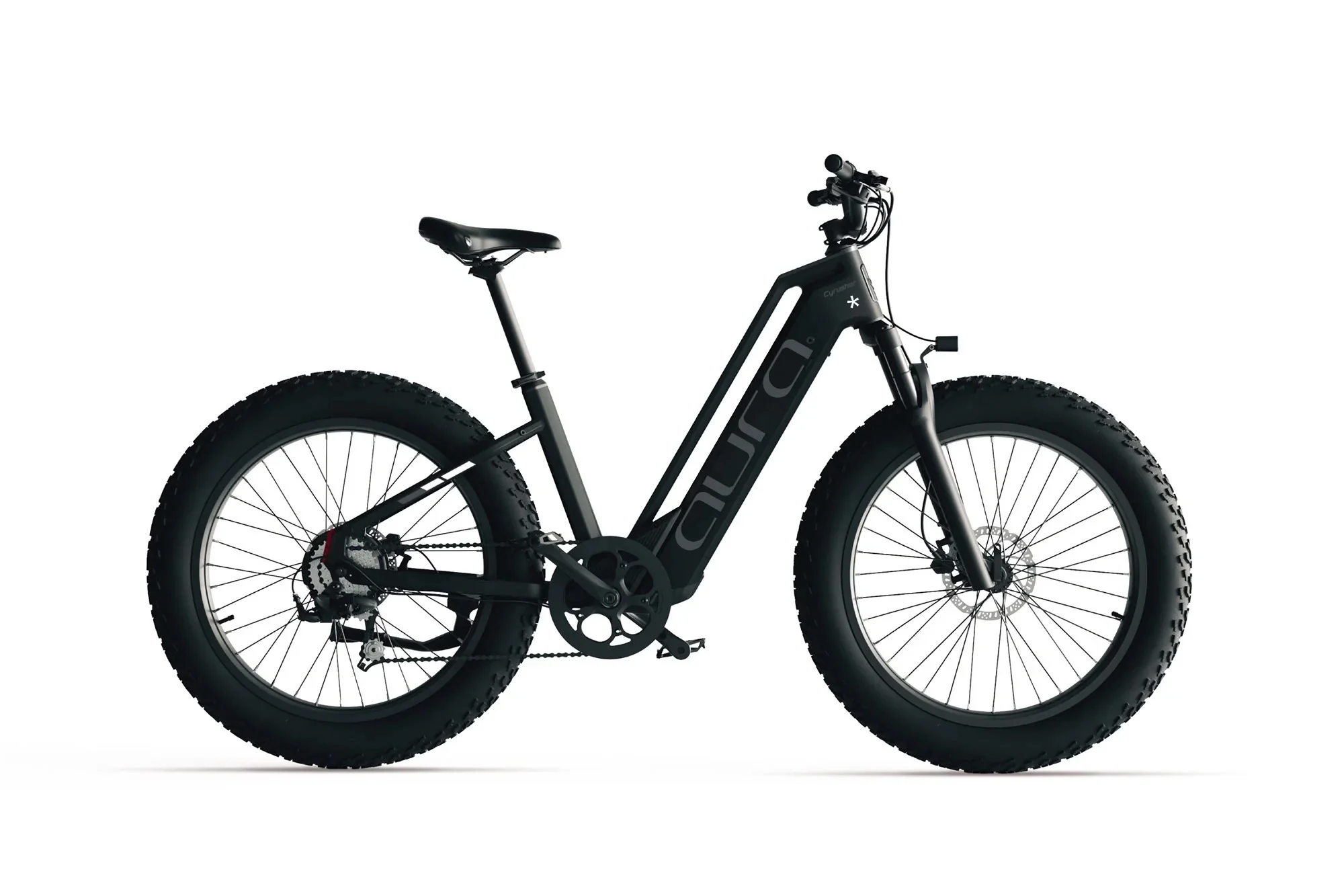 Aura Fat Tire E-Bike - Image 14