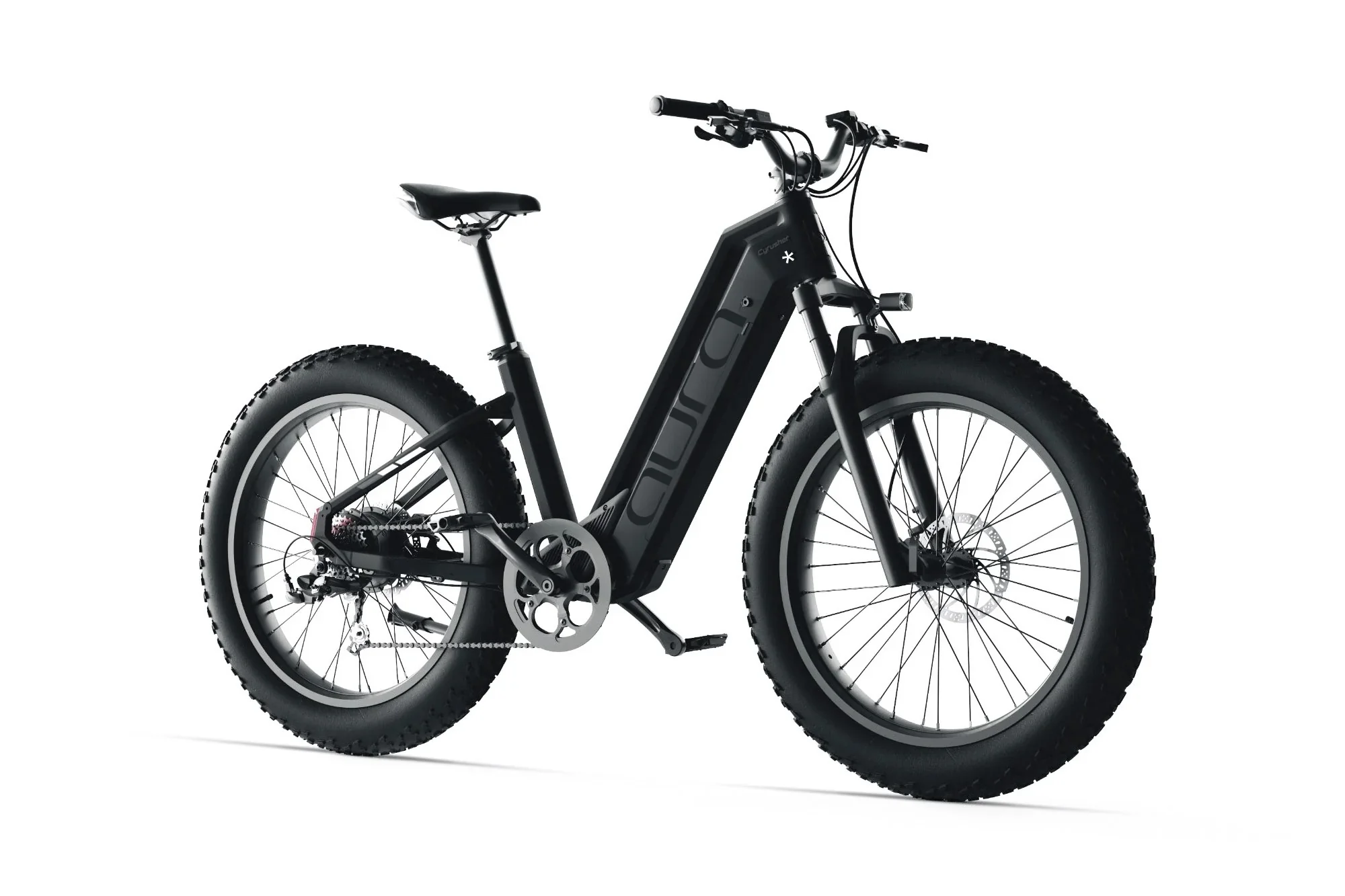 Aura Fat Tire E-Bike - Image 16