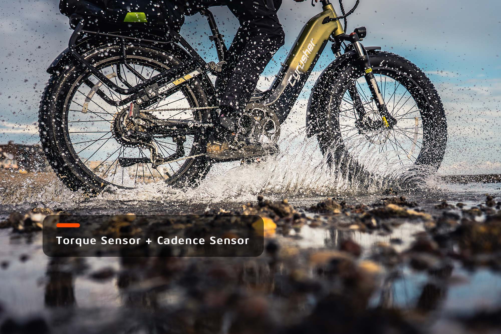 Roam All-Terrain Electric Bike - Image 5