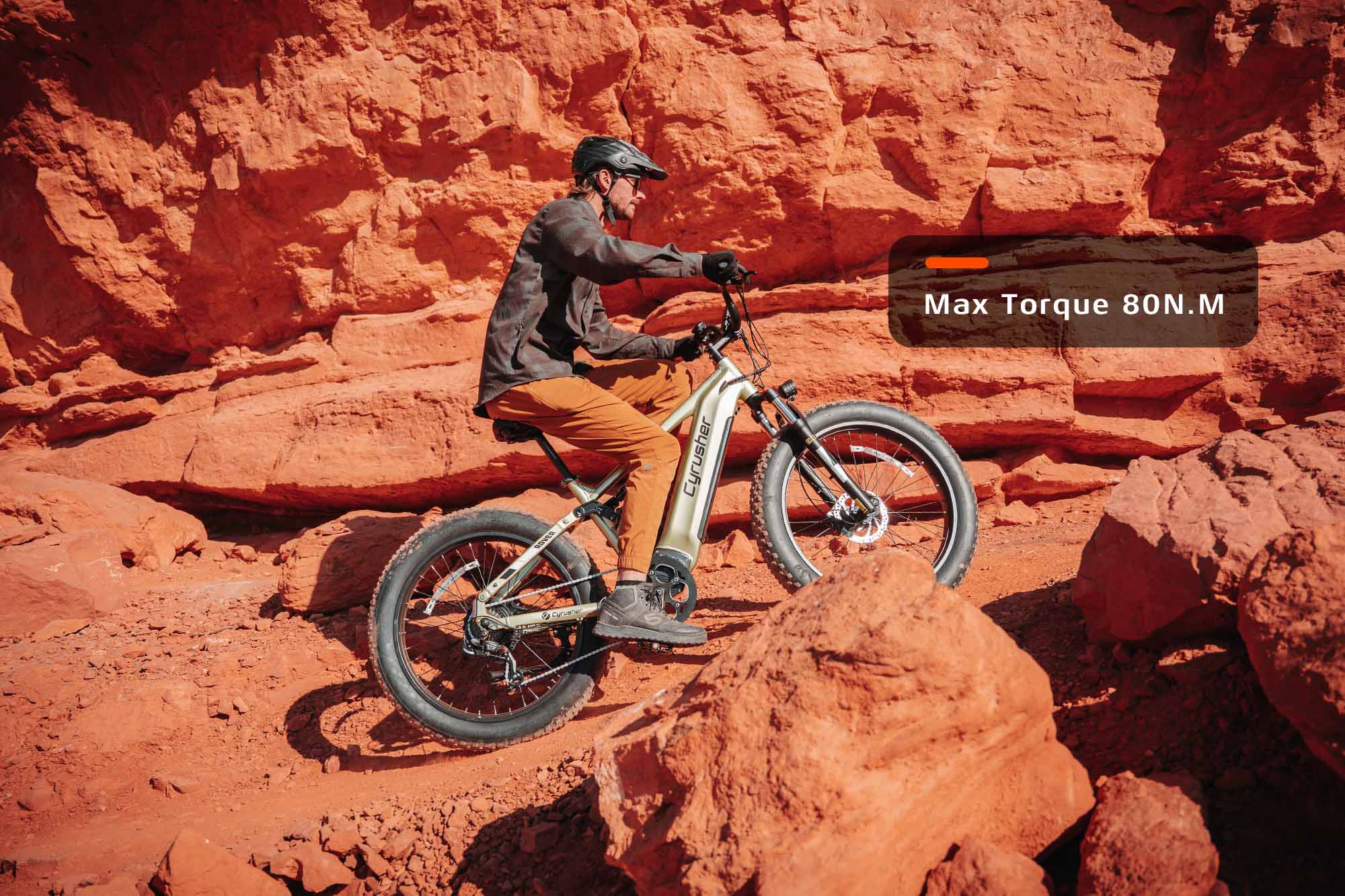 Rover, All-Terrain Ebike - Image 2