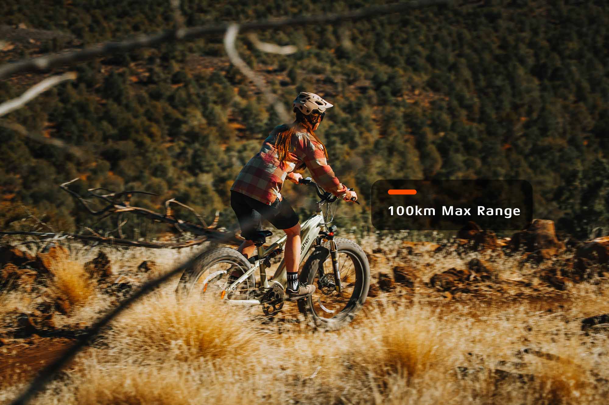 Rover, All-Terrain Ebike - Image 4