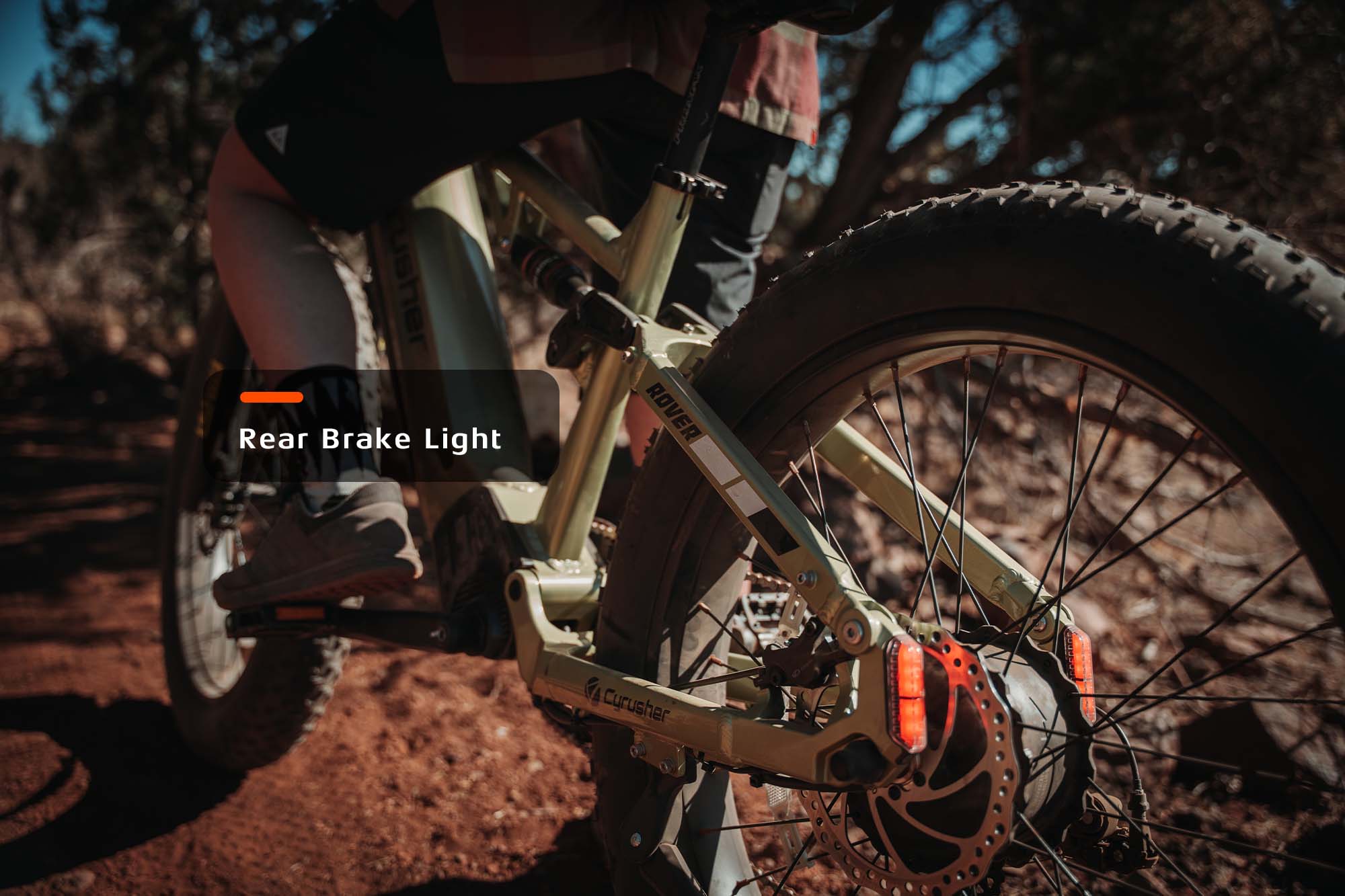 Rover, All-Terrain Ebike - Image 5
